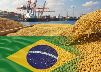 استثمارات الصين في موانئ أمريكا اللاتينية تعيد تشكيل سوق فول الصويا
