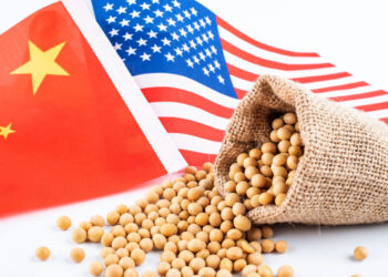 الصين تزيد مشترياتها من فول الصويا الأمريكي إلى 10 ملايين طن