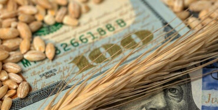 أسعار القمح