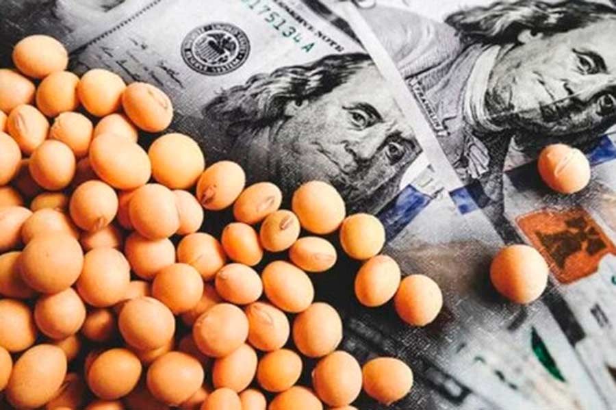 أسعار فول الصويا العالمية تستمر بالانخفاض وتسجل 378.5 دولار/طن خلال الأسبوع الماضى