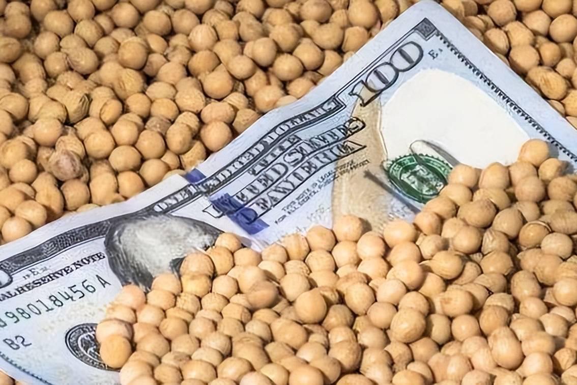 ارتفاع أسعار فول الصويا في السوق الأوكرانية بشكل حاد بسبب نقص الإمدادات وصعود أسعار عباد الشمس