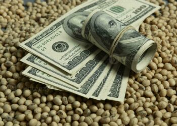 بورصة الحبوب| الصويا ترتفع اليوم الإثنين في أول جلسة كاملة لعام 2026