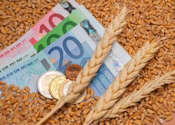 ارتفاع أسعار القمح في بورصة يورونكست بشكل طفيف يوم الإثنين