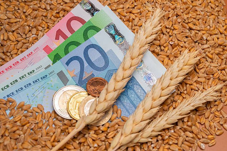 ارتفاع أسعار القمح في بورصة يورونكست بشكل طفيف يوم الإثنين