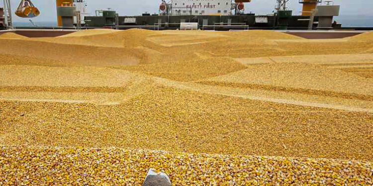 أبلغت وزارة الزراعة الأمريكية (USDA) عن بيع جديد للذرة يوم الثلاثاء. ذرة