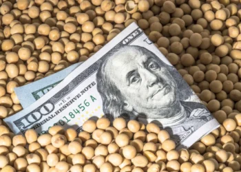 المنافسة مع الصادرات البرازيلية تضغط على أسعار فول الصويا الأمريكي