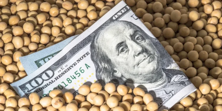 أسعار فول الصويا