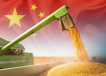 إنتاج الحبوب في الصين يبلغ 714.88 مليون طن في عام 2025