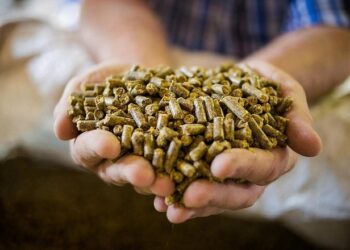 ألمانيا تخفض صادراتها من كسب فول الصويا بنسبة 11% منذ بداية الموسم