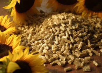 انخفاض صادرات كسب العباد الأوكراني إلى أوروبا لأدنى مستوى منذ موسم 2022-2023