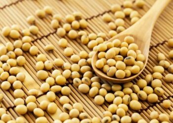 خبراء: صادرات الصويا البرازيلية في يناير لن تصل إلى التوقعات التي وضعتها رابطة مصدري الحبوب