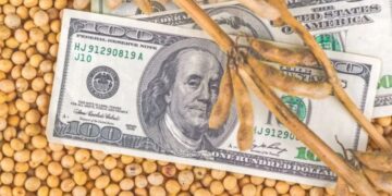 أسعار فول الصويا