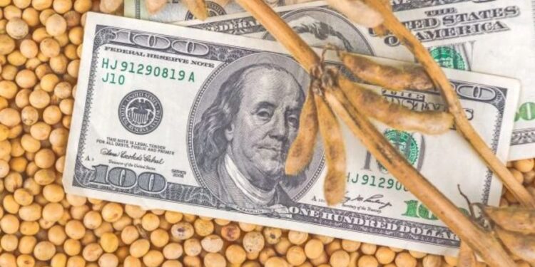 أسعار فول الصويا