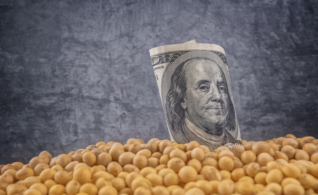 الدولار يرتفع بأكثر من 1٪ مع ترشيح ترامب لبنك الاحتياطي الفيدرالي وانخفاض أسعار الصويا بشكل حاد