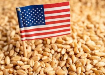 صادرات القمح الأمريكي تتسارع في أوائل عام 2026