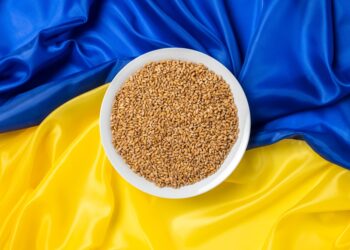 صادرات الحبوب الأوكرانية في يناير تتجاوز مستويات العام الماضي