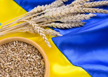 أوكرانيا تزيد صادراتها من الذرة بنسبة 22.3٪ وانخفاض شحنات القمح 50٪ في ديسمبر