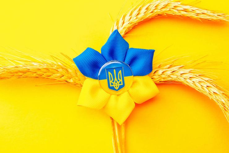 صادرات الحبوب الأوكرانية تصل إلى قرابة 17 مليون طن