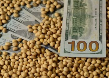 الصويا تواصل ارتفاعها وتحقق مكاسب في ختام تداوت الإثنين