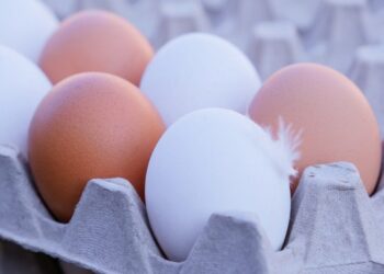 أوكرانيا تزيد صادرات البيض بنسبة 66% خلال عام 2025