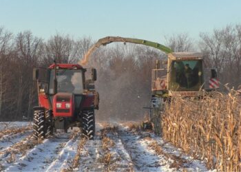 أوكرانيا| حصاد 27.7 مليون طن من الذرة و4.85 مليون طن فول صويا