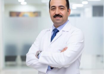 كلاب الشارع