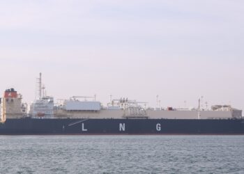 ميناء دمياط يستقبل 34700 طن ذرة و 7698 طن قمح