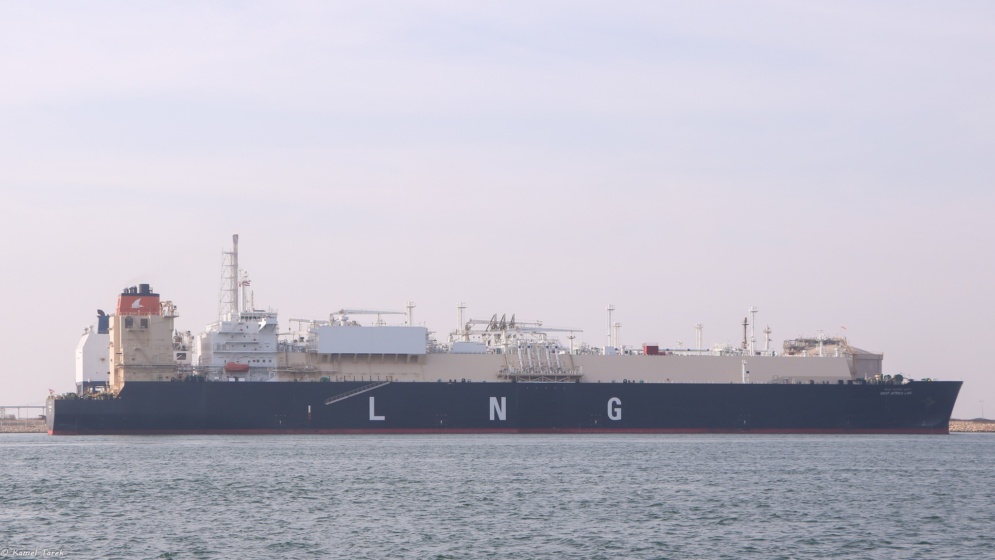 ميناء دمياط يستقبل 34700 طن ذرة و 7698 طن قمح