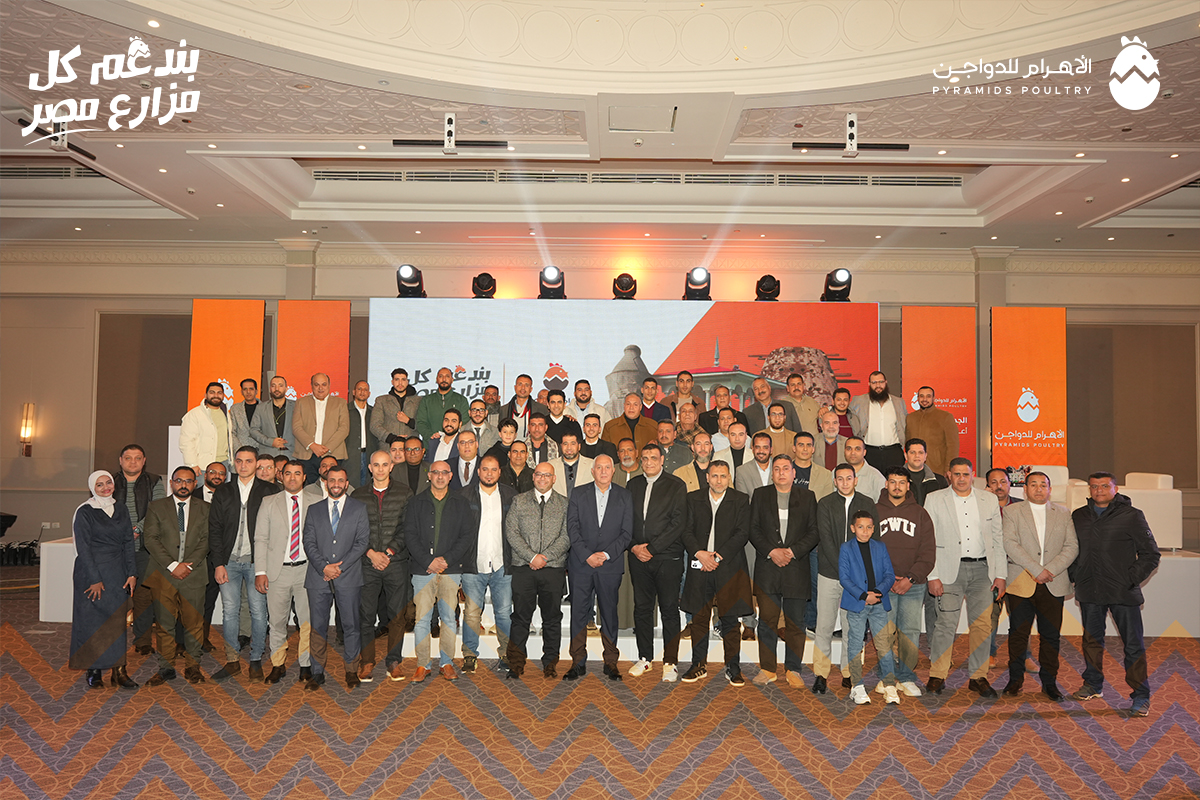 الأهرام للدواجن