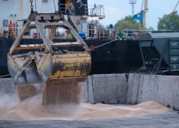 روسيا تخطط لخفض حصة الحبوب في الصادرات الزراعية إلى 25٪ بحلول عام 2030