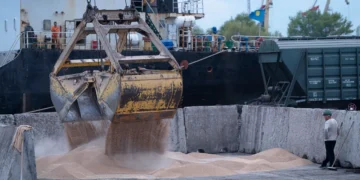 روسيا تخطط لخفض حصة الحبوب في الصادرات الزراعية إلى 25٪ بحلول عام 2030