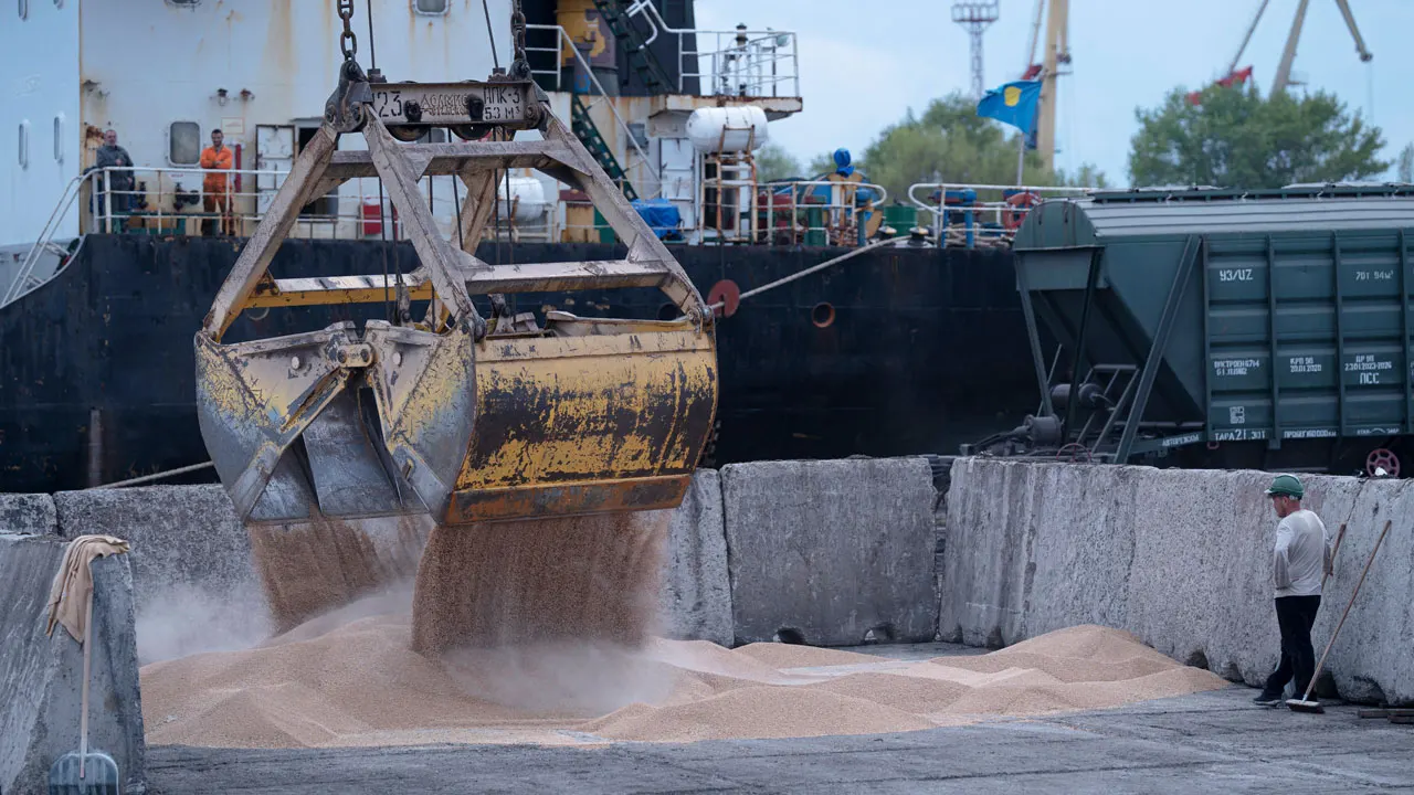 روسيا تخطط لخفض حصة الحبوب في الصادرات الزراعية إلى 25٪ بحلول عام 2030