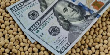 بورصة الحبوب| فول الصويا يبدأ الأسبوع بانخفاض متبعاً المشتقات والحبوب