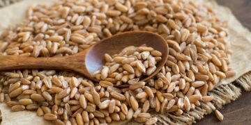 أسعار القمح الروسي ترتفع للأسبوع الثالث على التوالي