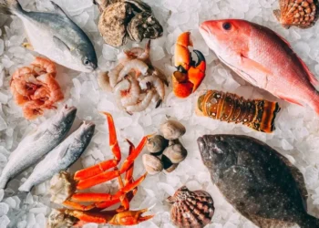 ارتفاع البلطي والجمبري.. أسعار السمك اليوم في سوق العبور