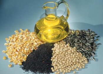 البذور الزيتية