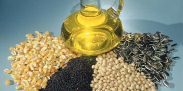 البذور الزيتية