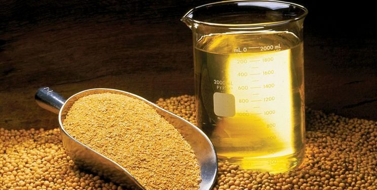 انخفاض حصة أوكرانيا في واردات الصويا الأوروبية إلى 9.5٪