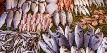 أسعار السمك