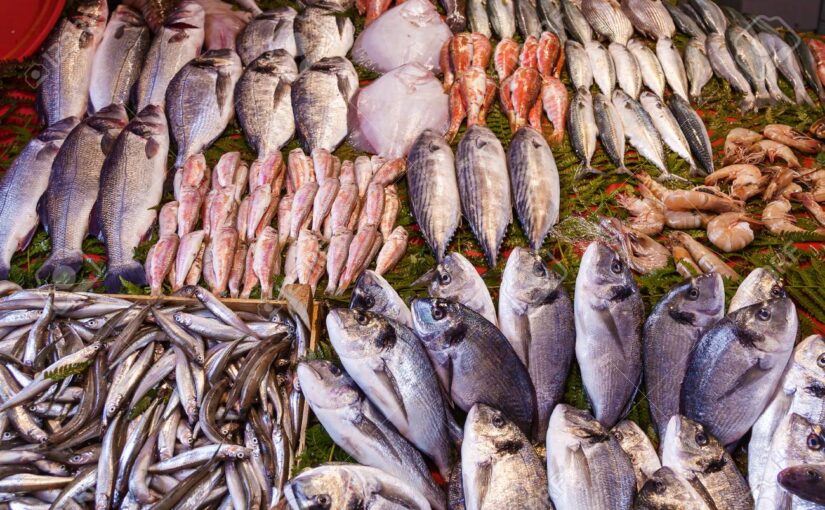 أسعار السمك