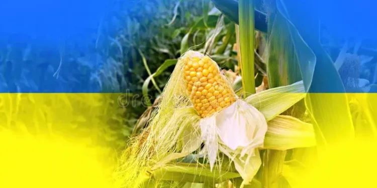 أسعار الذرة