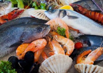 أسعار السمك