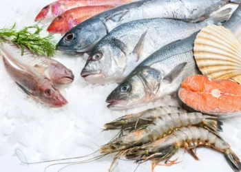 أسعار السمك