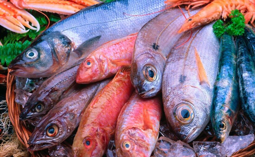 أسعار السمك