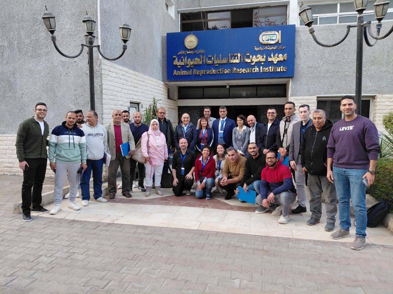 إنتاج الألبان