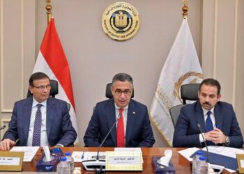 دواجن مجمدة