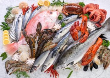 أسعار السمك