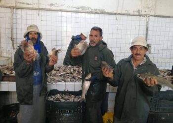 مزرعة المنزلة السمكية