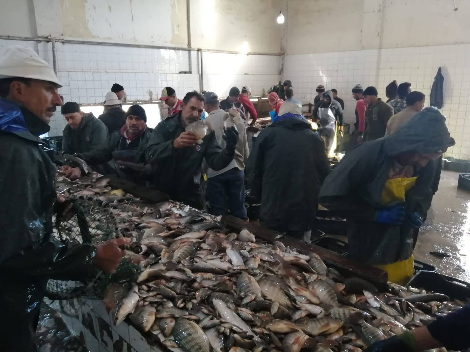 مزرعة المنزلة السمكية