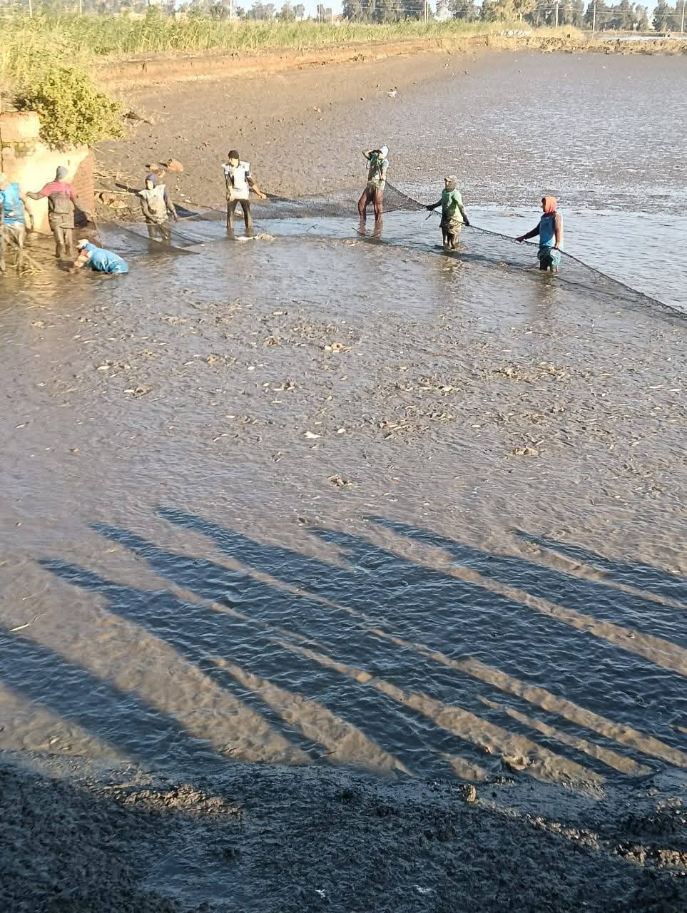 مزرعة الزاوية